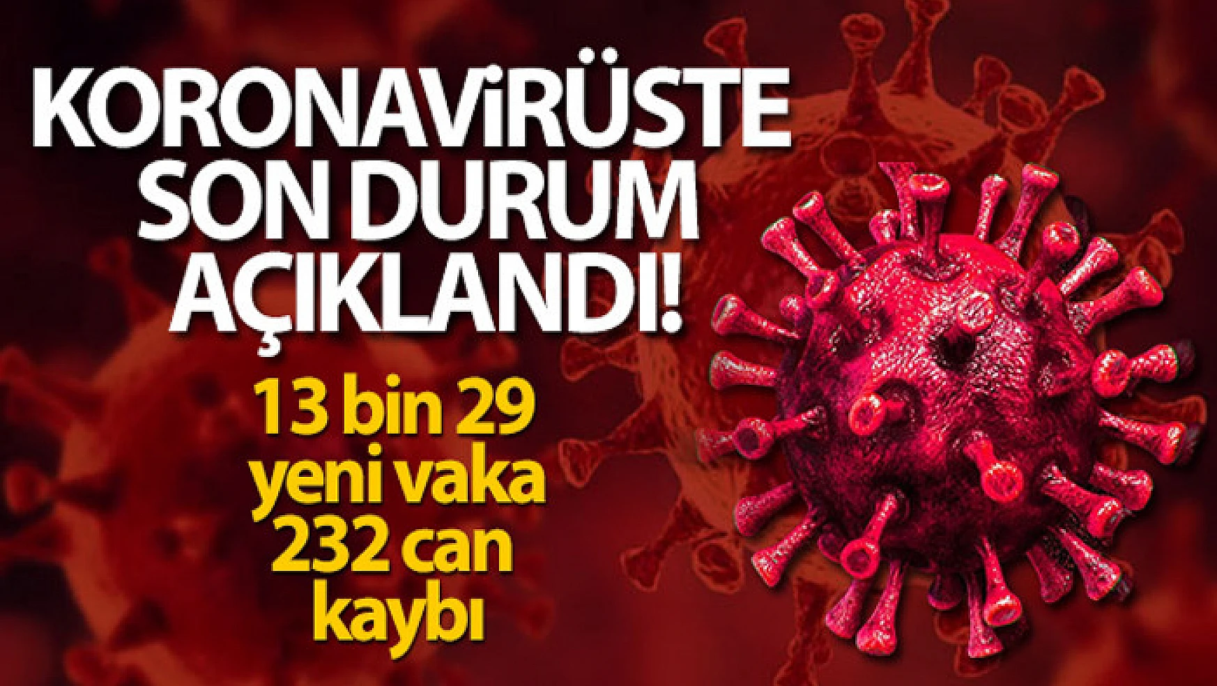 Türkiye'de son 24 saatte 13.029 koronavirüs vakası tespit edildi
