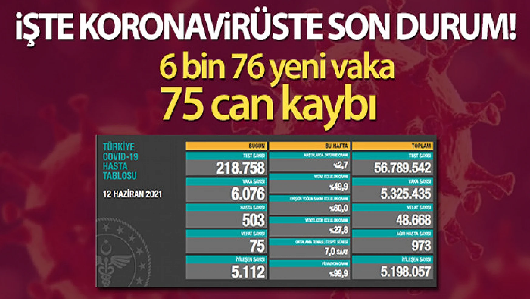 Türkiye'de son 24 saatte 6.076 koronavirüs vakası tespit edildi