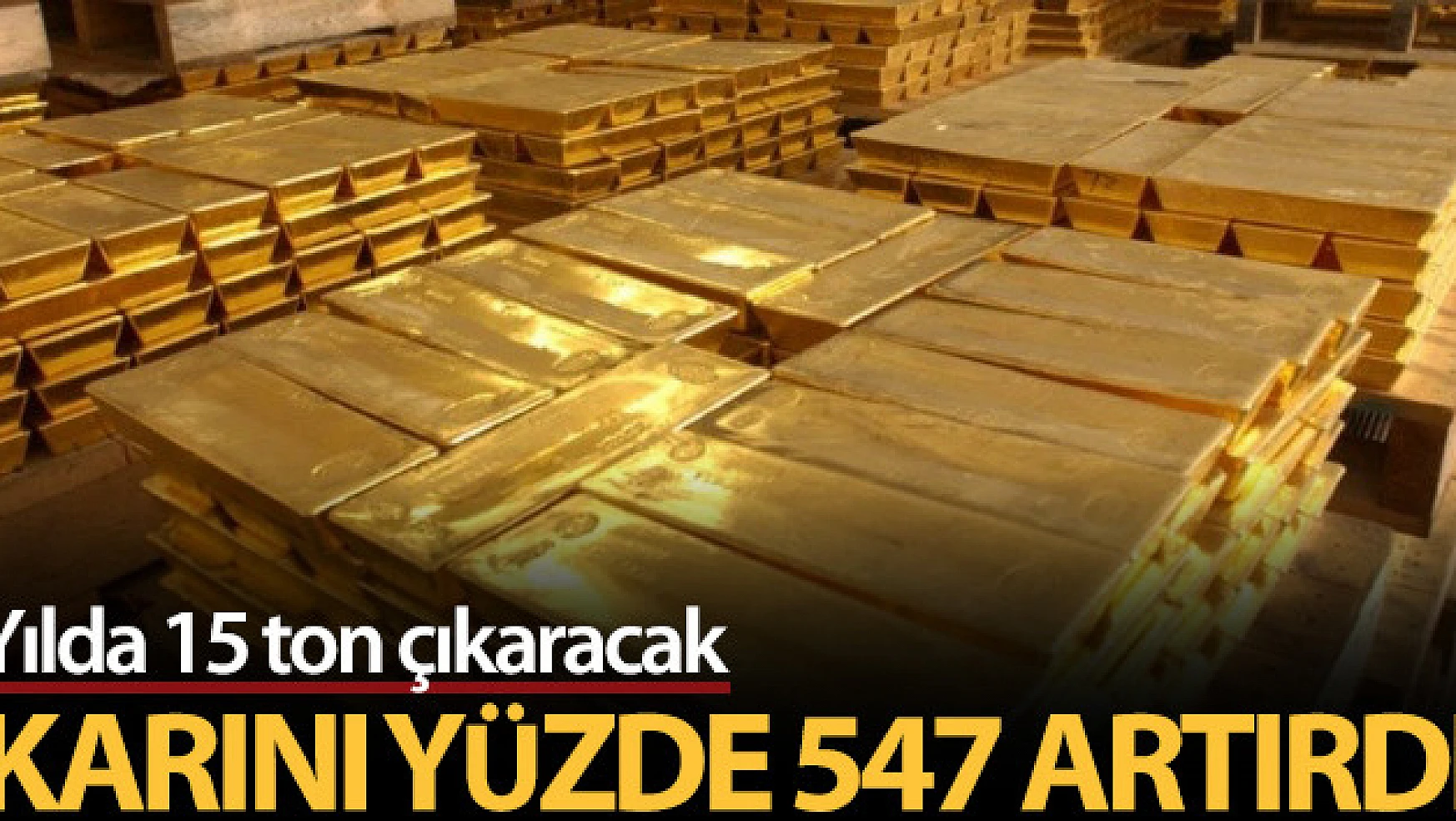 Yılda 15 ton altın çıkarmak için çalışmalar devam ediyor