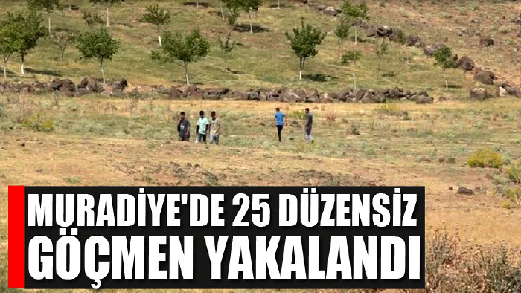 Muradiye'de 25 düzensiz göçmen yakalandı