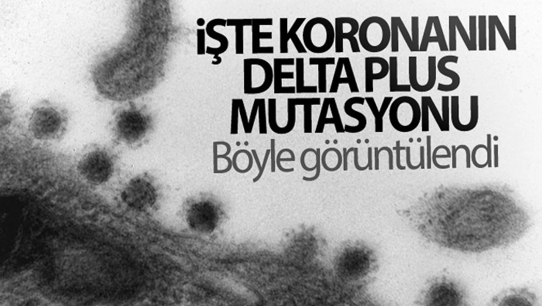 Rusya'da korona virüsün Delta Plus mutasyonu görüntülendi