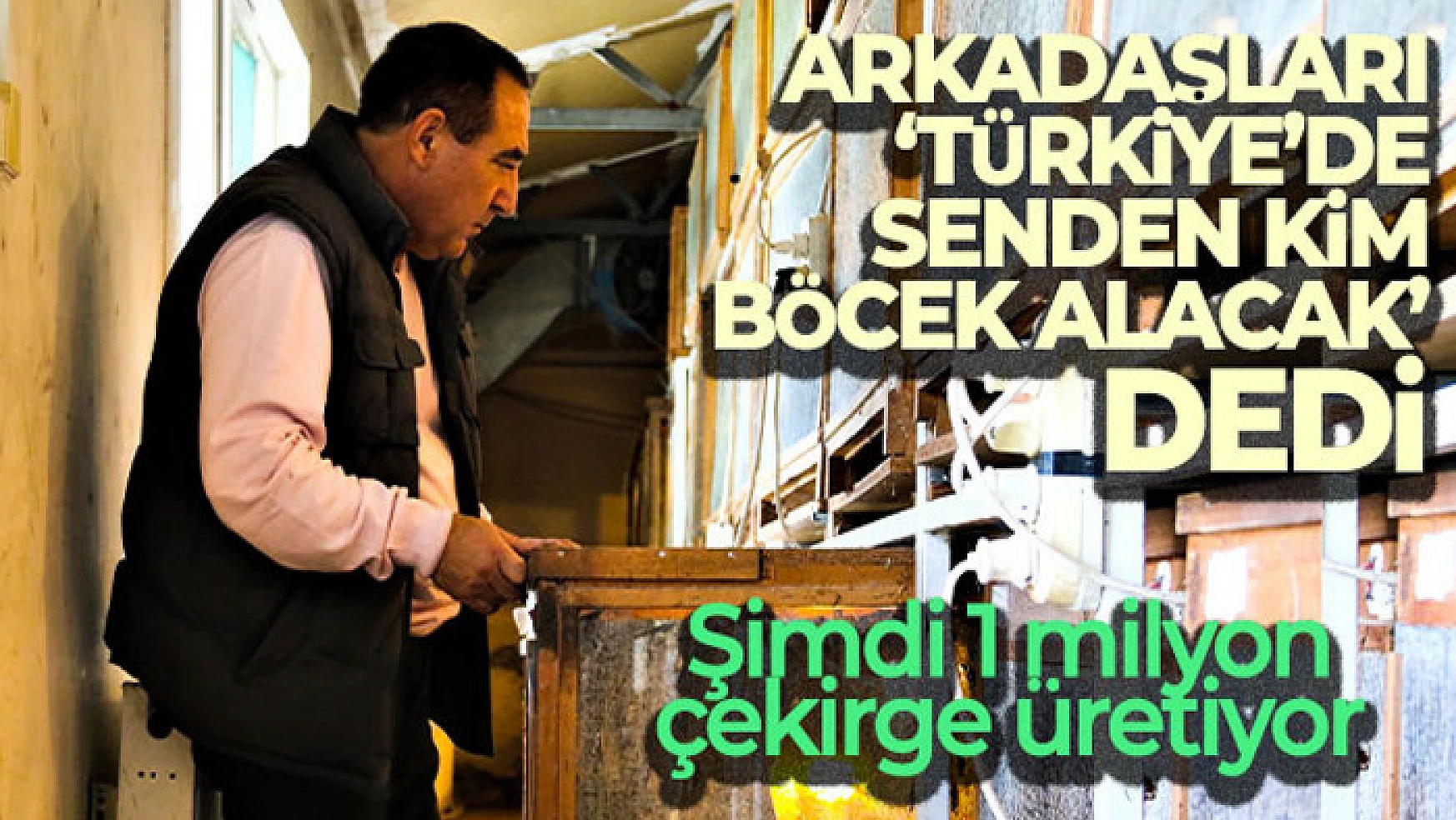 Arkadaşlarının 'Türkiye'de senden kim böcek alacak' dediği işletmeci 1 milyon çekirge üretiyor