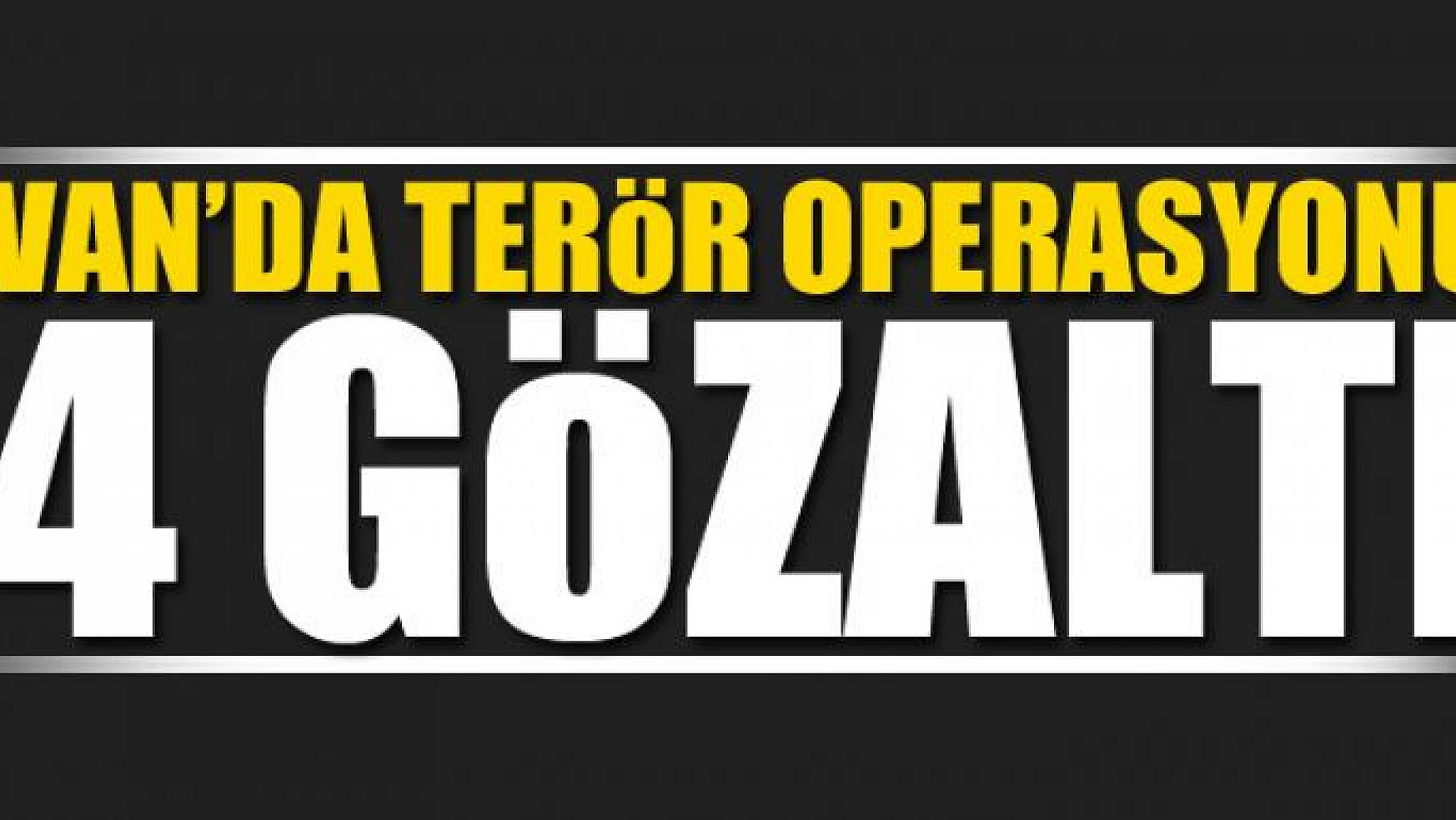 Van'da terör operasyonu: 4 gözaltı 