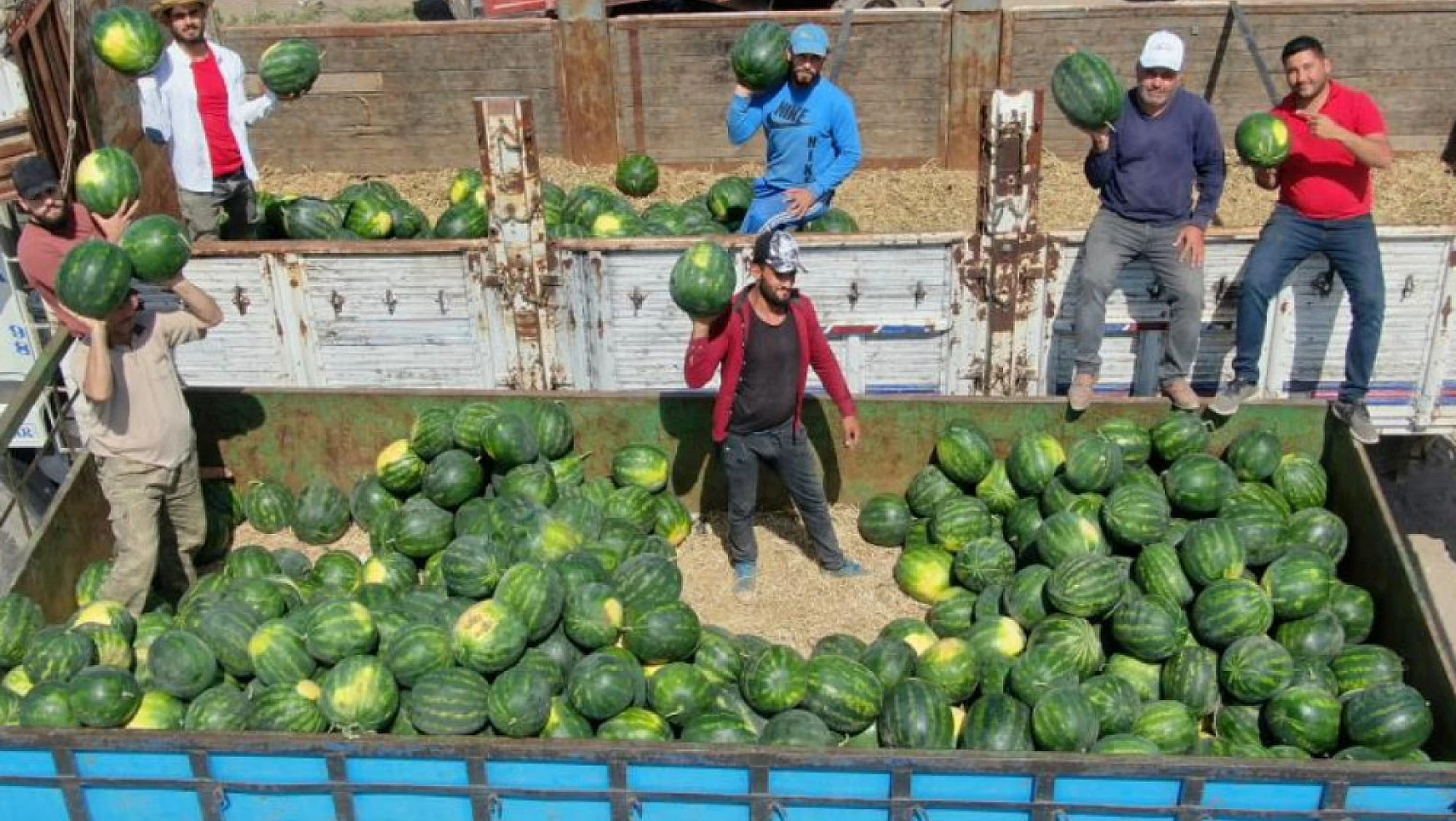 İşçilerin zorlu mesaisi: Adana sıcağında her gün 150 ton karpuz yüklüyorlar