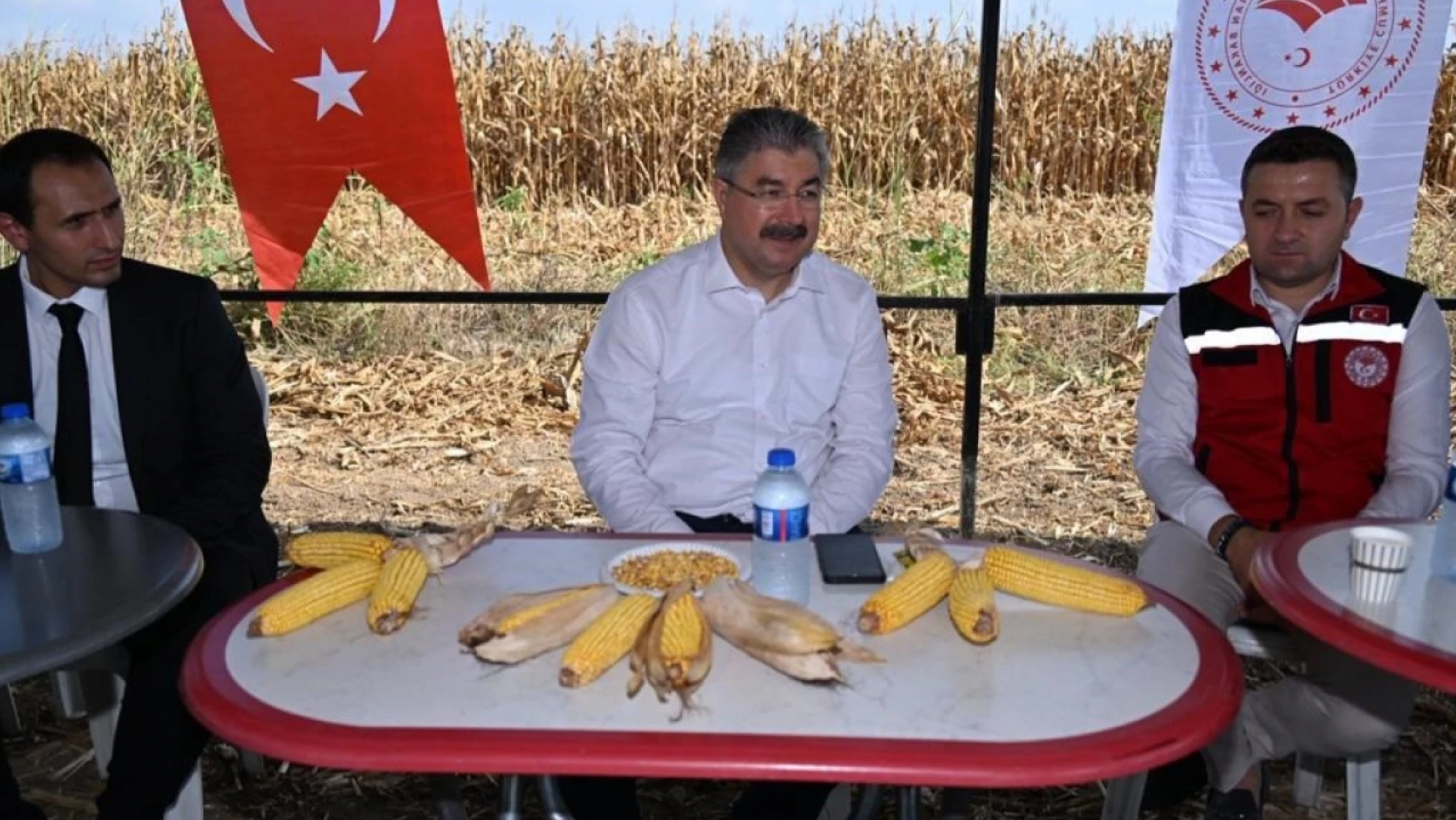 Osmaniye mısır üretiminde Türkiye'de 6. sırada