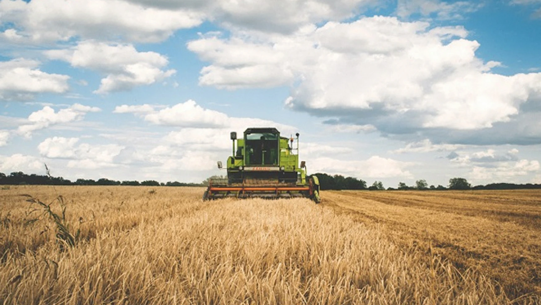 Tarım-GFE yıllık yüzde 49,92 arttı