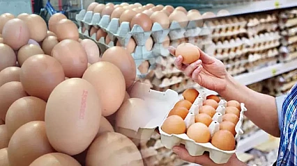 Dev zam kararı! Yumurta bile artık lüks oldu