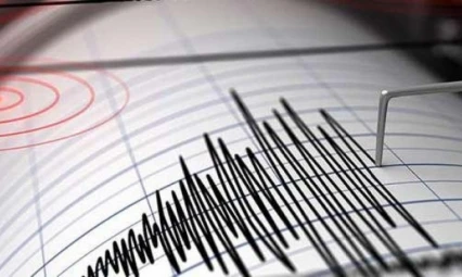 Kahramanmaraş'taki 4,6 büyüklüğündeki depremde korkulan olmadı