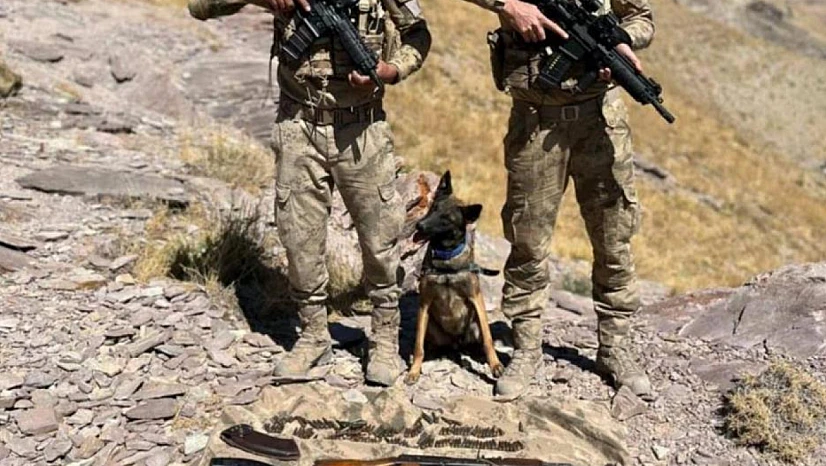 Jandarma Van'da çok sayıda silah ve mühimmat ele geçirdi