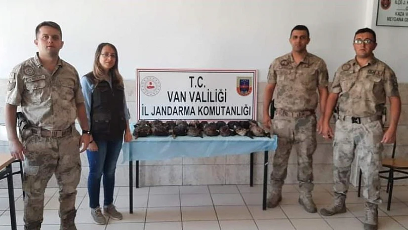 Van'da Kaçak Avcılara Ceza
